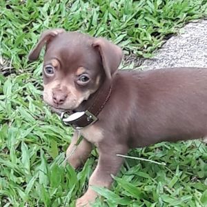 Meet your Posher, Alba